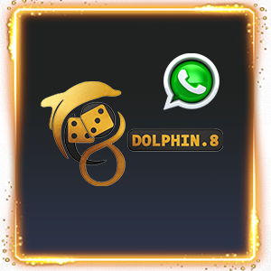 dolphin8